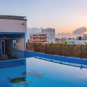casa-barco-hotel-boutique.quintano-roohotels.com/